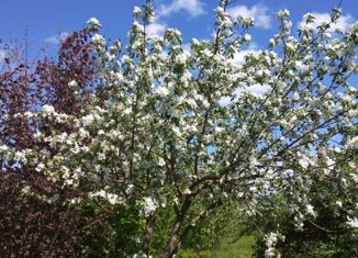 Участок на продажу, 10 сот., деревня Акшубино, деревня Акшубино, 35