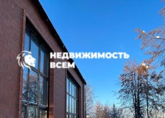 Продается дом, 486 м2, посёлок Вавиловец, 12-я улица, 157