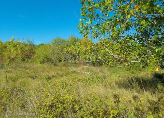 Продажа участка, 5 сот., СНТ Заря, Дачная улица