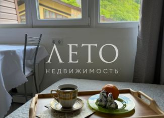 1-ком. квартира на продажу, 26.4 м2, село Эстосадок, Эстонская улица, 9/4, ЖК Red Glade