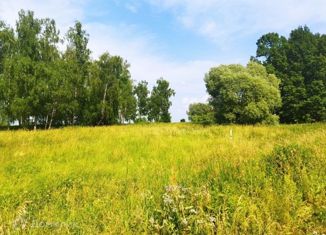 Земельный участок на продажу, 20 сот., деревня Гайтурово, деревня Гайтурово, 6