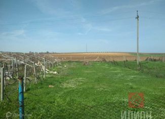 Продам участок, 5.1 сот., село Вилино, Виноградная улица