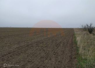 Продам участок, 20 сот., село Михайловка