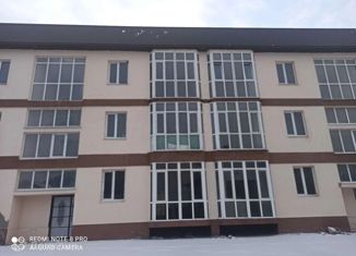 Продаю однокомнатную квартиру, 43 м2, станица Ессентукская, Этокская улица, 190