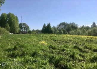 Продам участок, 16 сот., деревня Раковно