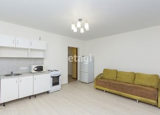 Сдаю квартиру студию, 27 м2, деревня Патрушева, улица Фёдора Достоевского, 18