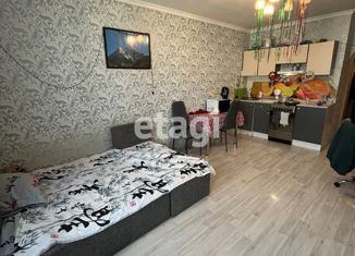 Продам квартиру студию, 25.9 м2, Мурино, улица Шувалова, 4к1, ЖК Мой Город