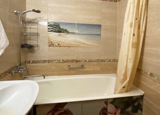 Аренда 1-ком. квартиры, 37 м2, Санкт-Петербург, проспект Пятилеток, 16к3, проспект Пятилеток