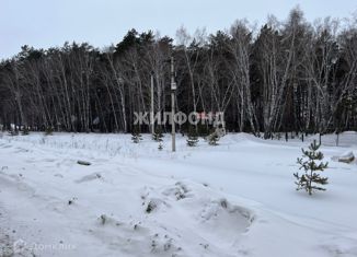 Земельный участок на продажу, 15 сот., рабочий посёлок Ордынское, улица Мира