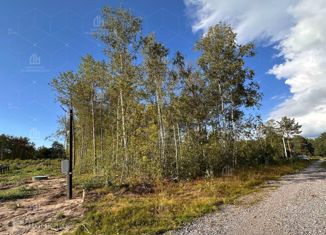 Продажа земельного участка, 15 сот., деревня Кобона, улица Дорога Жизни