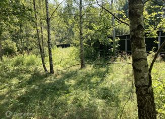 Продаю участок, 16 сот., деревня Румянцево, Центральная улица