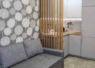 Продам квартиру студию, 21.12 м2, Мурино, Воронцовский бульвар, 21к3, ЖК Мой Мир