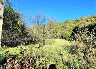 Продаю участок, 6 сот., ТСН Лесное, Кизиловая улица, 327