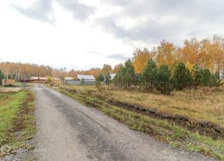 Продажа земельного участка, 14 сот., садовое общество Птицевод, садовое общество Птицевод, 217