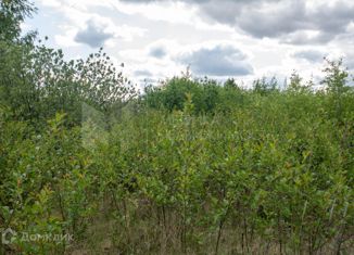 Земельный участок на продажу, 10 сот., Южно-Плетневское сельское поселение