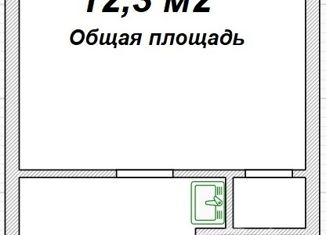 Продается 1-комнатная квартира, 12.3 м2, Томск, улица Полины Осипенко, 31А, Кировский район