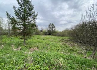 Продаю земельный участок, 15 сот., село Никольское, улица Силиной, 15