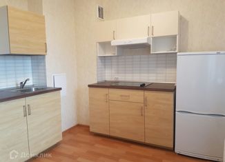 Сдается в аренду однокомнатная квартира, 38 м2, Санкт-Петербург, улица Фёдора Абрамова, 4, метро Парнас