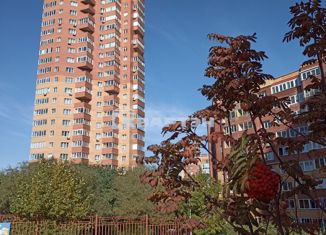 Продажа однокомнатной квартиры, 42 м2, Новосибирск, микрорайон Горский, 12, метро Студенческая