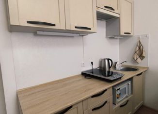Сдаю квартиру студию, 24.7 м2, Санкт-Петербург, Арцеуловская аллея, 23к1