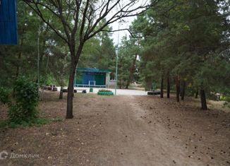 Продажа земельного участка, 40 сот., село Старо, село Старо, 24Б