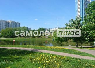 Продается однокомнатная квартира, 33 м2, Москва, Новоясеневский проспект, 22к3, метро Ясенево