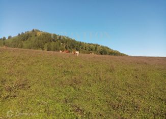 Продажа земельного участка, 12 сот., село Бирюля