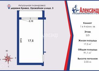 Продаю комнату, 91.1 м2, деревня Кривко, Урожайная улица, 3