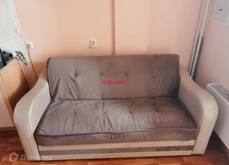 Продается квартира студия, 25 м2, Новосибирск, улица Краузе, 17, улица Краузе