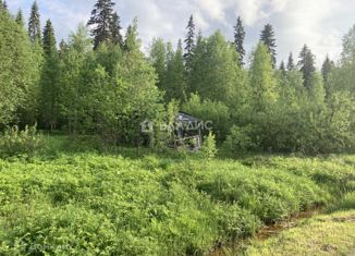 Продается земельный участок, 11 сот., СНТ Педагог, СНТ Педагог, 46