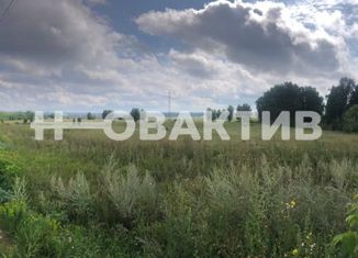 Продажа участка, 800 сот., поселок Чернореченский, Кооперативная улица, 1