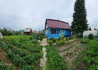 Дом на продажу, 50 м2, садовое товарищество Мечта, Центральная улица