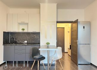 Квартира на продажу студия, 24.1 м2, Санкт-Петербург, Арцеуловская аллея, 19