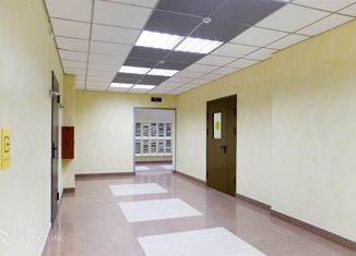 Квартира на продажу студия, 24 м2, Санкт-Петербург, проспект Просвещения, 43, муниципальный округ № 15