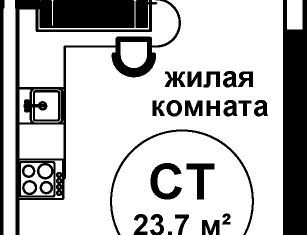 Продаю квартиру студию, 24 м2, Нижний Новгород, метро Горьковская, улица Родионова, 202/2