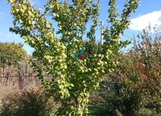 Продам земельный участок, 6 сот., поселок Новоначаловский, Новая улица