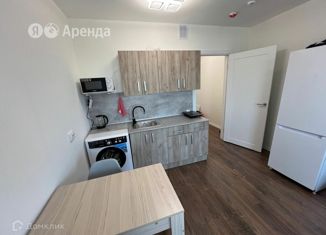 Сдаю в аренду квартиру студию, 25 м2, Санкт-Петербург, улица Морской Пехоты, 26к2