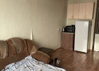 Продаю квартиру студию, 22.7 м2, Кемерово, Инициативная улица, 27А, Кировский район