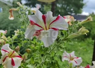 Продам дом, 30.8 м2, Сыктывкар, 3-й проезд