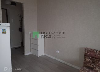 Сдаю квартиру студию, 26 м2, Татарстан, улица Раскольникова, 11