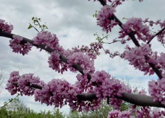 Дом на продажу, 41.3 м2, село Николаевка, Яблочная улица