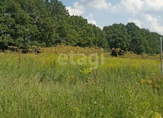 Продам земельный участок, 12 сот., деревня Новая Знаменка