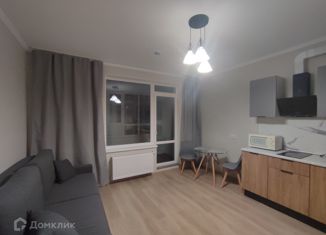Квартира в аренду студия, 29 м2, посёлок Парголово, Брюлловская улица, 5, ЖК Континенты