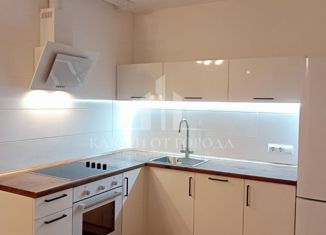 Аренда однокомнатной квартиры, 54 м2, Колпино, улица Севастьянова, 28к2