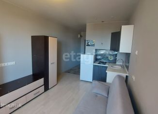 Продается квартира студия, 19.6 м2, Краснодар, Тепличная улица, 62/1к2, ЖК Акварели 2