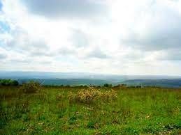 Продается участок, 4 сот., СОТ Строитель, Верхняя улица