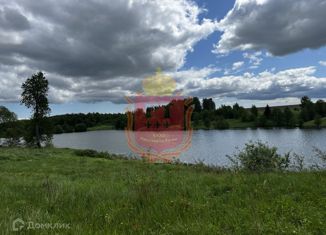 Продам участок, 1300 сот., деревня Большие Пруды