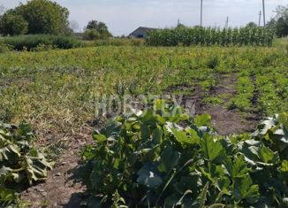 Продается участок, 15 сот., поселок Мирской