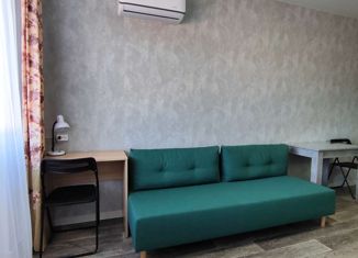 Продается квартира студия, 21 м2, Новороссийск, Парковая улица, 32к91