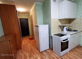 Квартира на продажу студия, 22.7 м2, Екатеринбург, Рощинская улица, 21к2, ЖК Тихий Берег-3